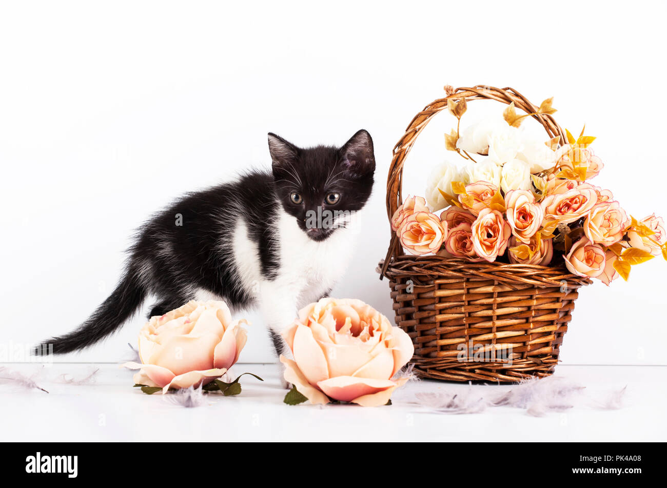 Cute little kitten in basket with flowers Stock Photo - Alamy
