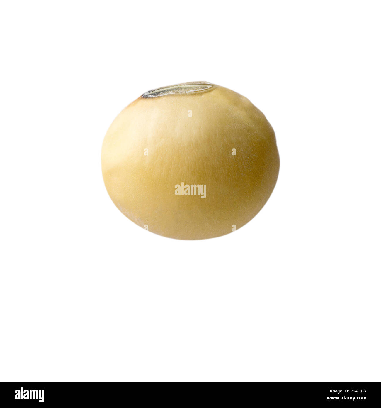 soybean on white background and clipping path Stock Photo