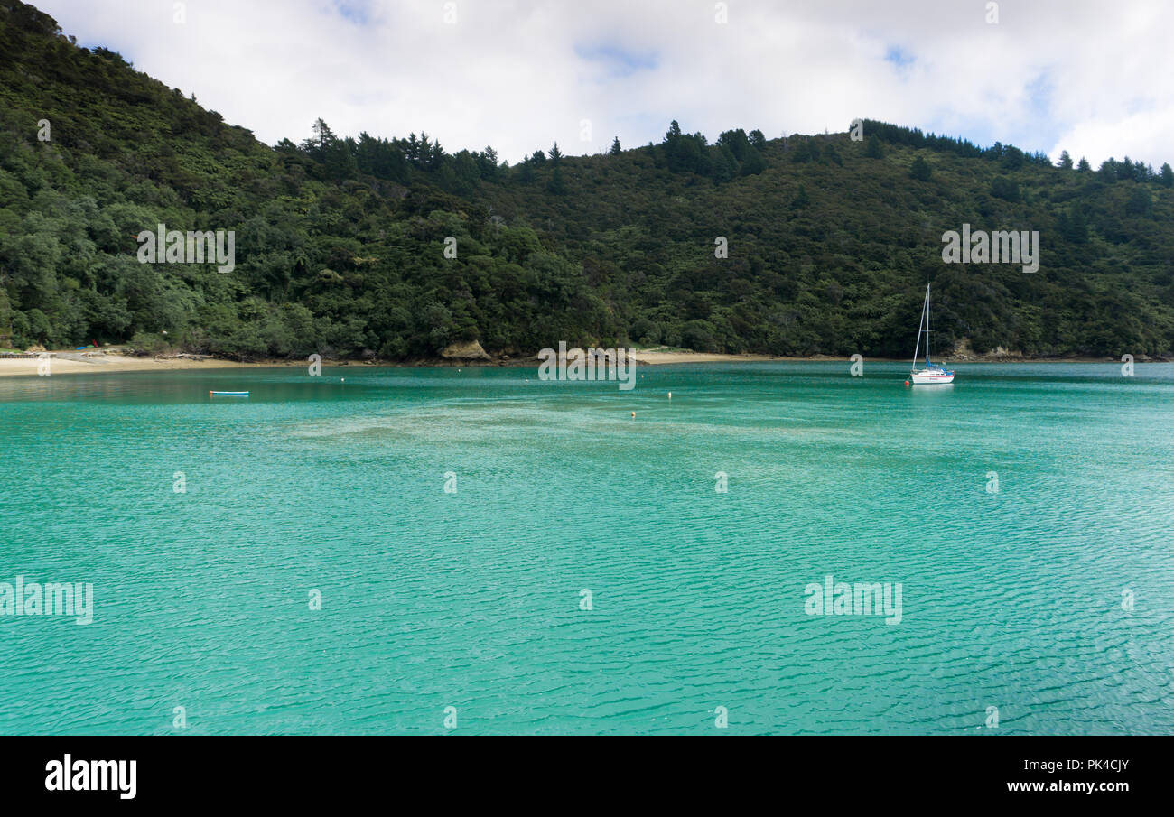 Queen Charlotte Track - Sounds, Yacht, Turquoise Waters And Forest Stock Photo