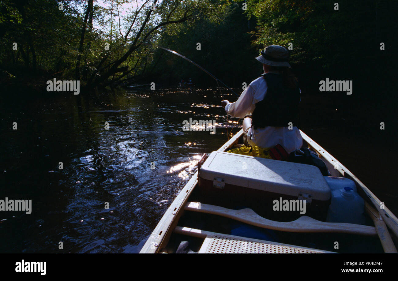 canoe5/020402 Canoe camping on the Mattaponi River, Virginia Stock
