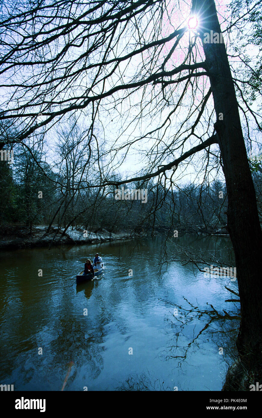 Mattaponi21/021402 Canoeing the upper Mattaponi River, just above