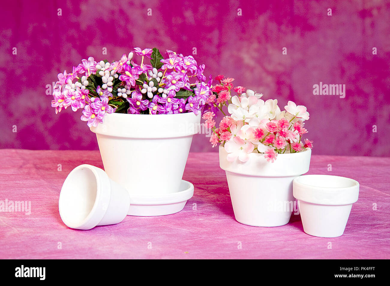 Miniature flower pots filled with tiny pink/lavender flowers isolated on pink texture background. Stock Photo