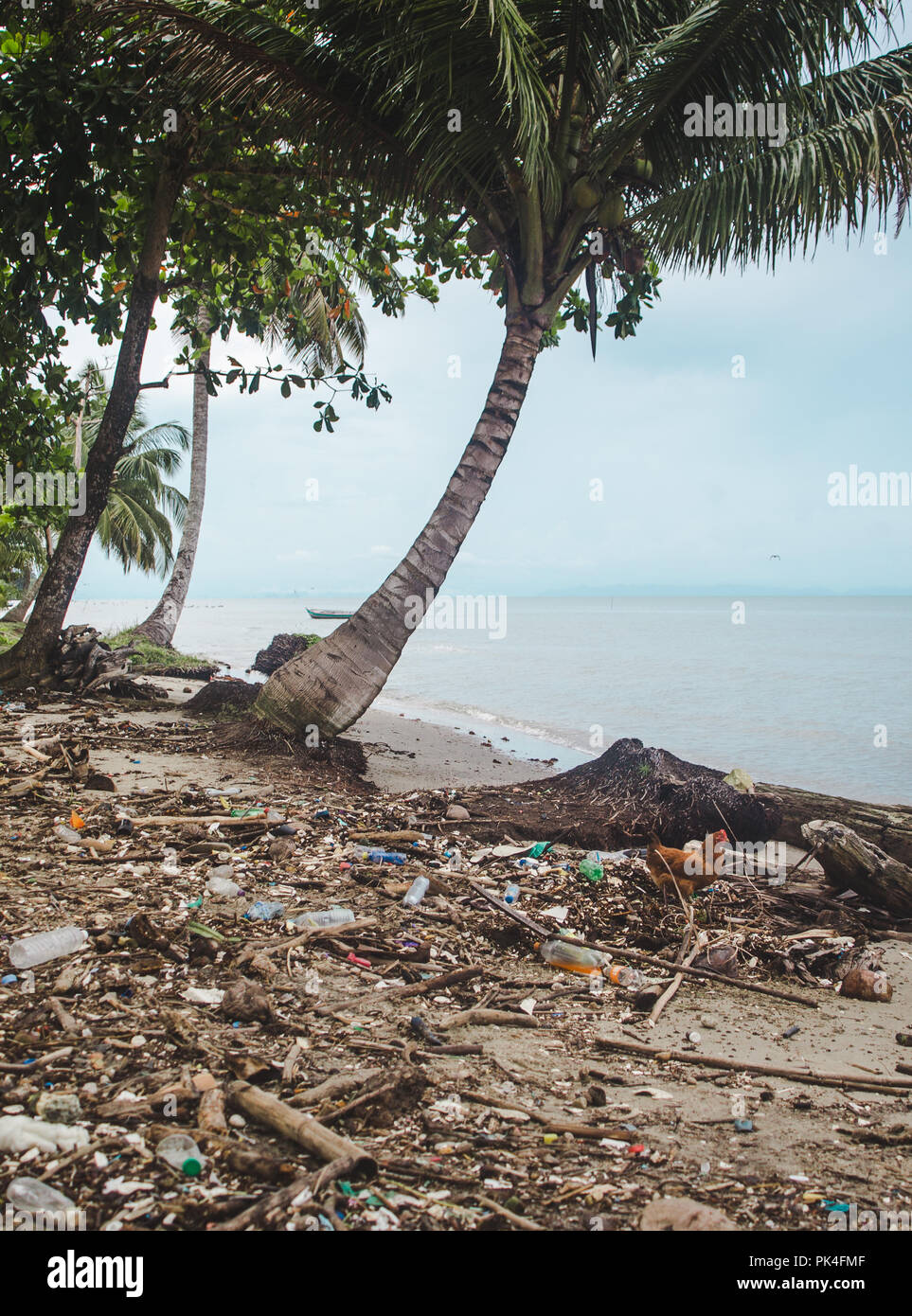 Paradise beach in Guatemala ruined by plastic litter washed up on the