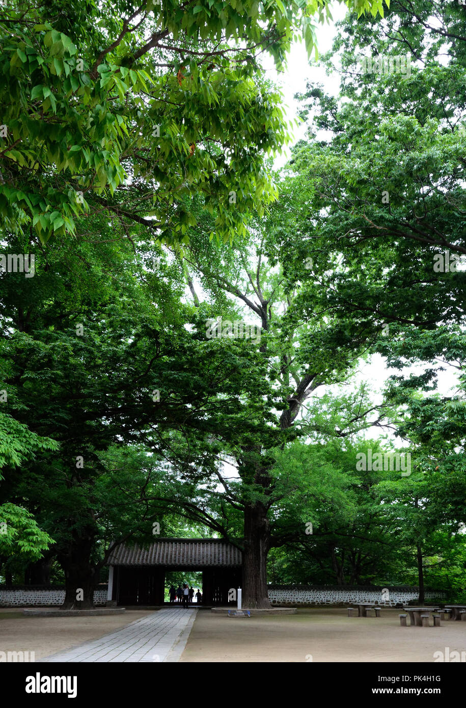 Entrance to the Koryo Museum, part of the Sungkyunkwan University