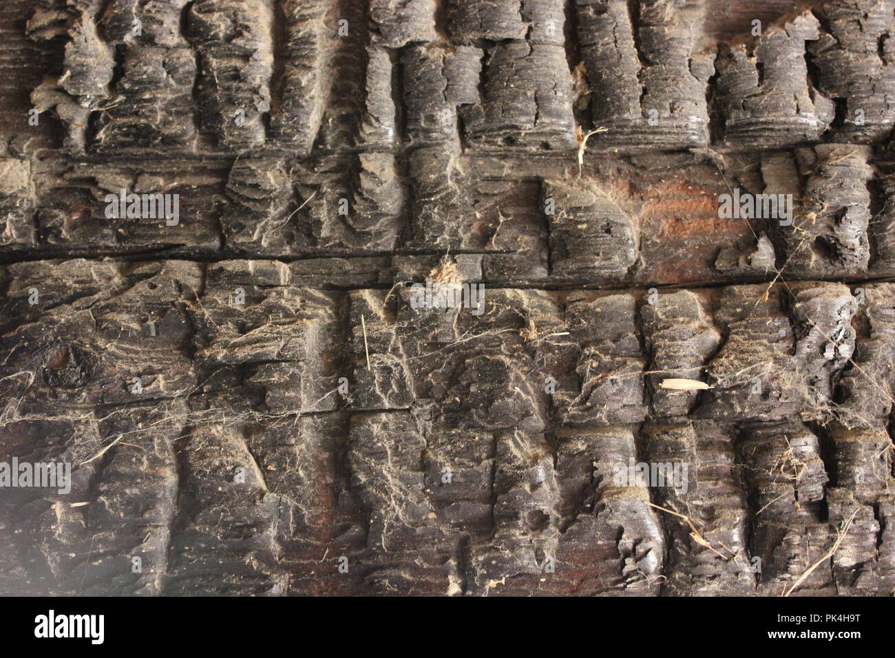 Burned and charred timber wood in a dairy cow livestock barn. Stock Photo