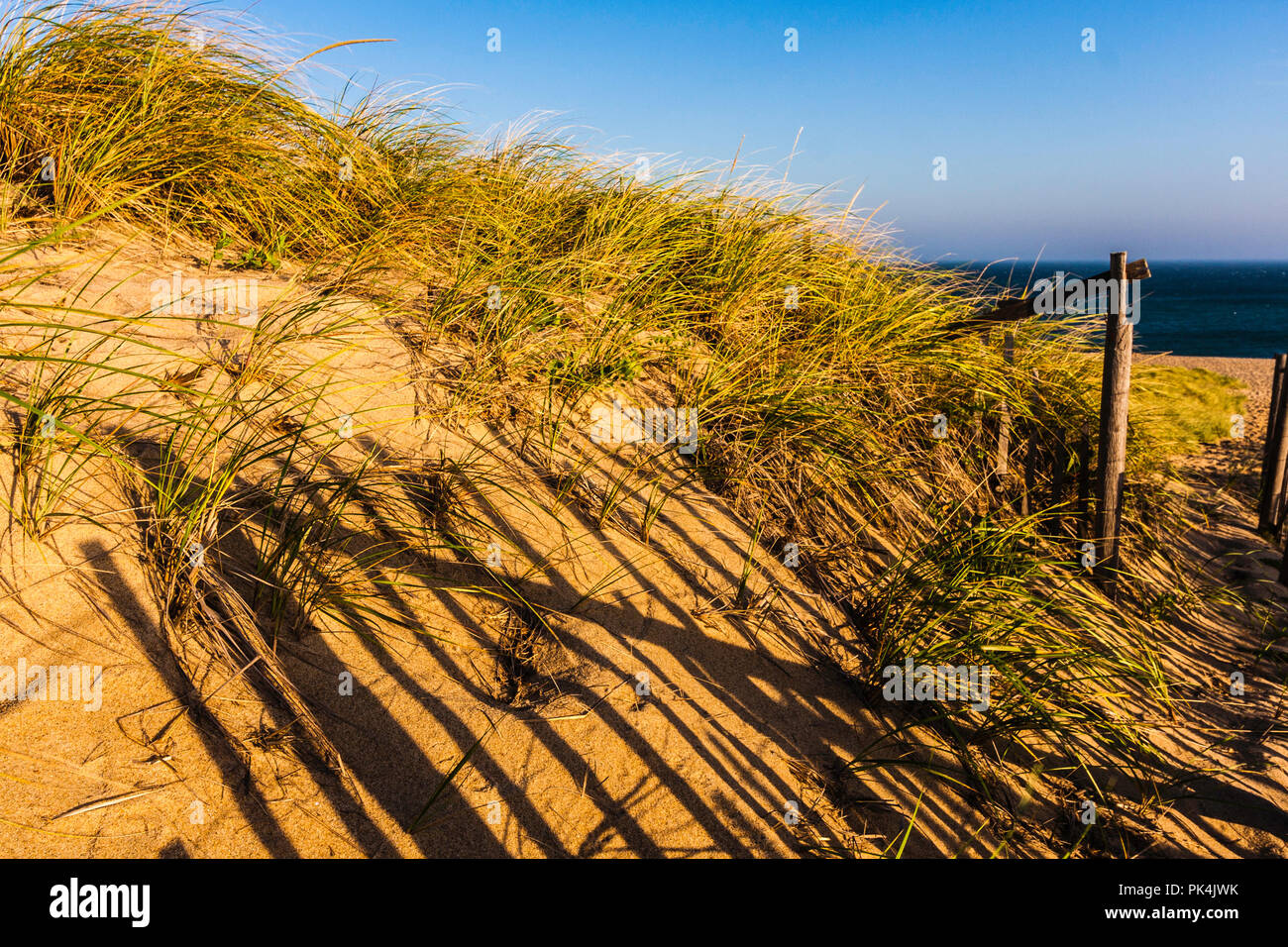 Race Point Beach Cape Cod National Seashore Provincetown, Massachusetts, USA Stock Photo Alamy