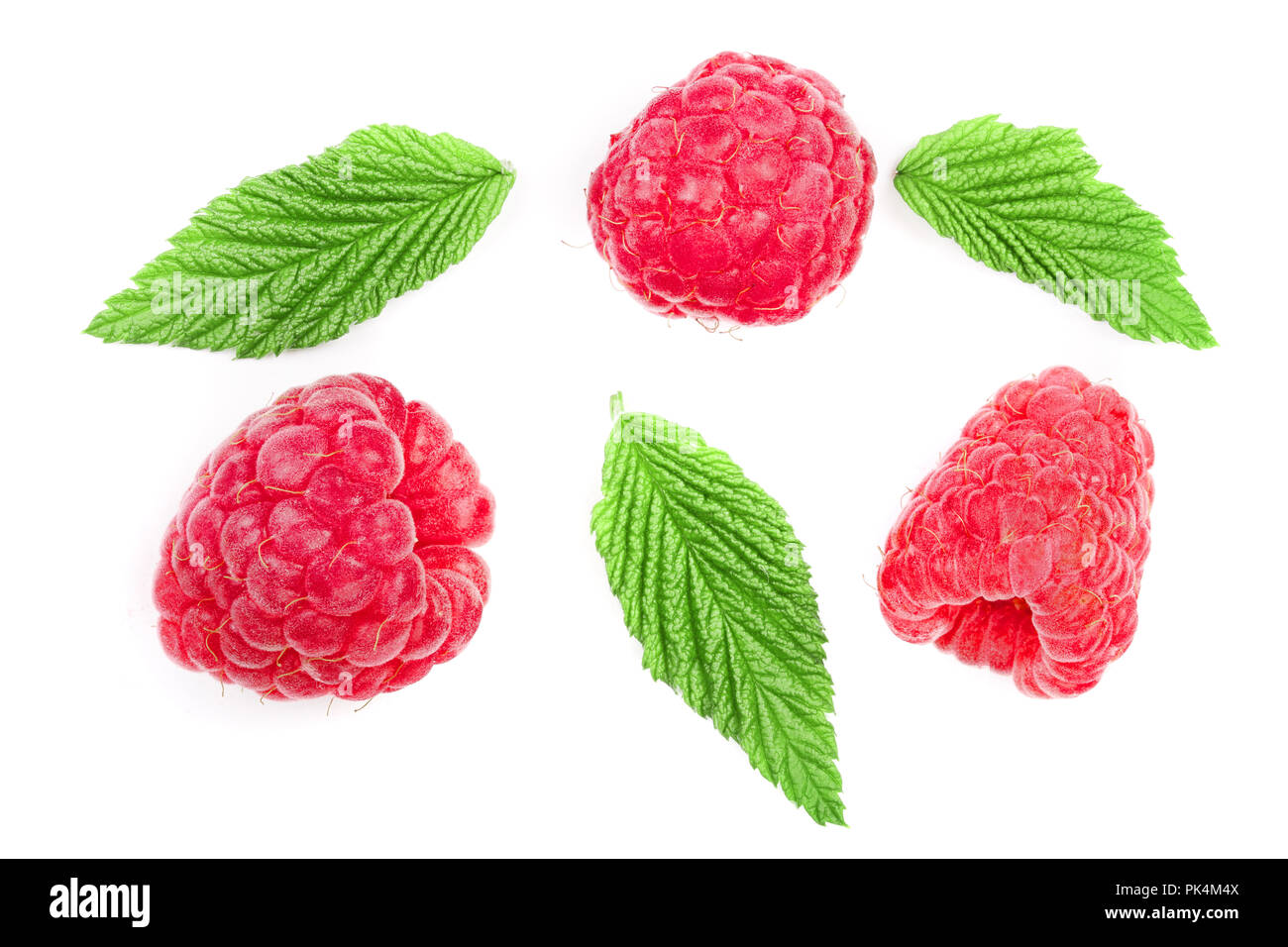 Raspberry Flat Lay raspberries with leaves isolated on white background. Top view. Flat ...