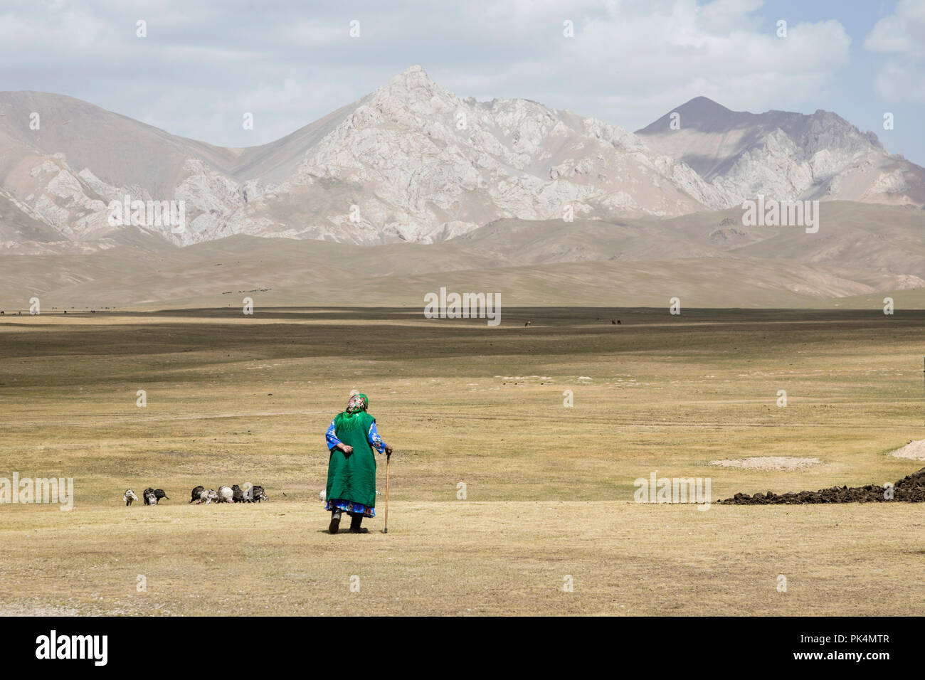 Song Kul, Kyrgyzstan, August 8 2018: An old Kyrgyz woman walks leisurely in the steppe at Song Kul lake in Kyrgyzstan Stock Photo