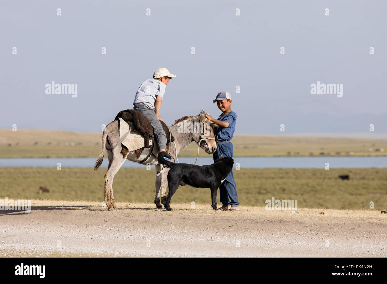 Song Kul, Kyrgyzstan, August 8 2018: Two boys and a donkey at Song Kul lake in Kyrgyzstan Stock Photo