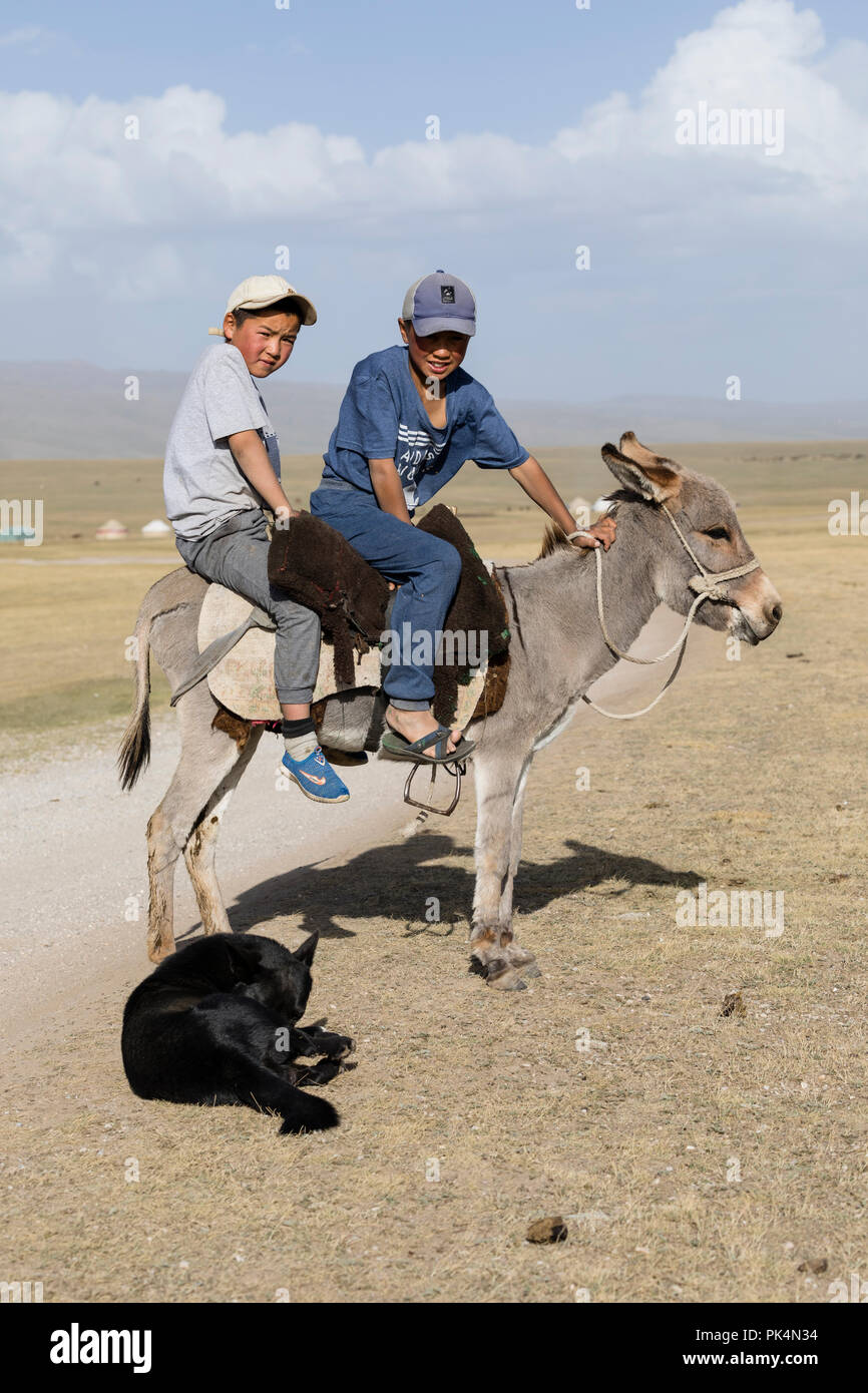 Song Kul, Kyrgyzstan, August 8 2018: Two boys and a donkey at Song Kul lake in Kyrgyzstan Stock Photo