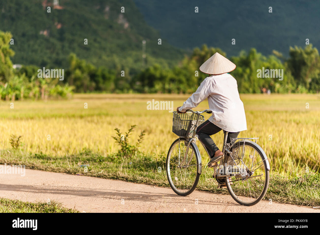 Image Mai Châu image beautiful image beautiful image beautiful - Woman in a rice hat riding a bicycle in a rice field near Lac ...