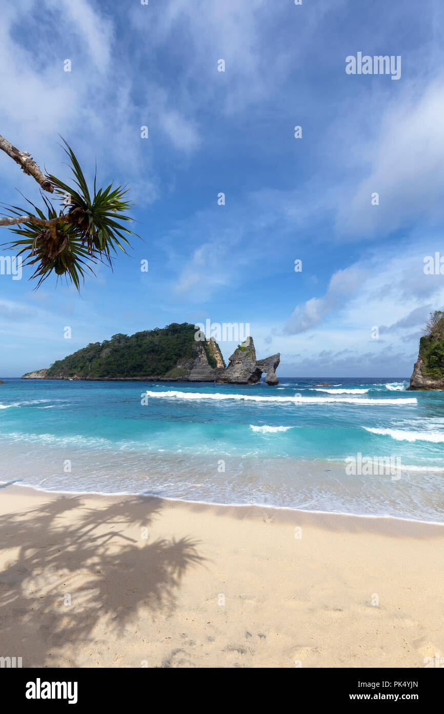 Beautiful portrait view of a small tree and a stone arch out at sea on the island of Nusa Penida near Bali. Stock Photo
