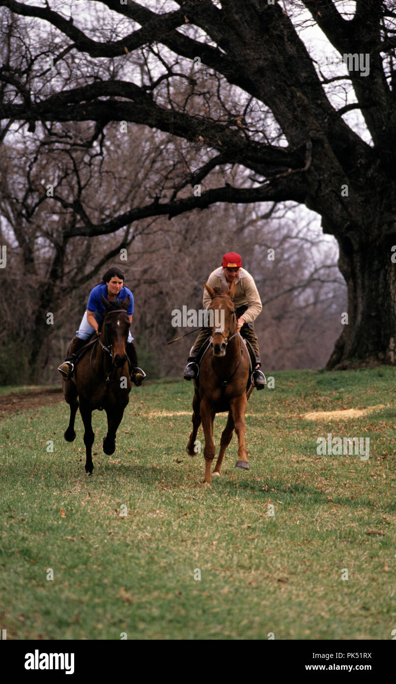 Bay Cockburn(on right) during a workout in 1998 of steeplechase hourses at Dr, Joe Rodgers Farm in Hamilton, Virginia. The Oak Tree in the background  Stock Photo