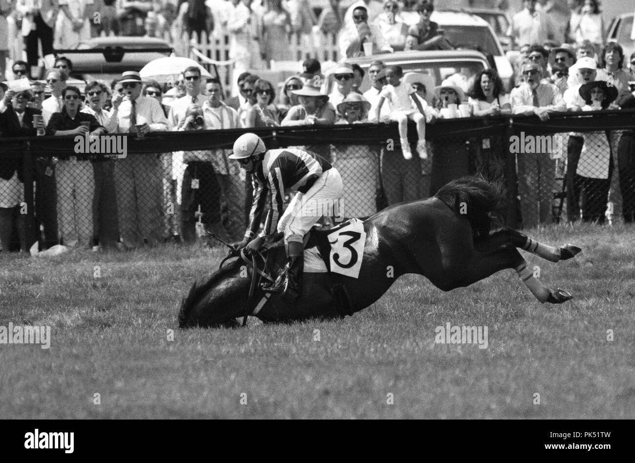 Rider and horse go down during the Gold Cup in The Plains, Virginia. Stock Photo