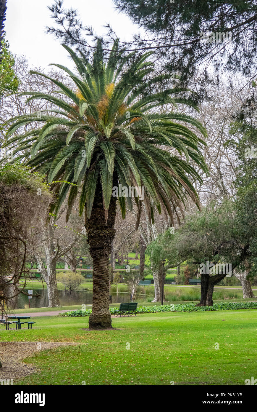 MEET PERTH CHRISTIAN SINGLES & DATING ON CHRISTIANCAFE.COM