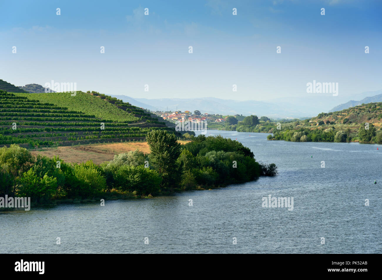 Douro river and, at left, the vineyards of Quinta de Vale Meao, the origin of one of the best red wines in the world, Barca Velha. Pocinho, Alto Douro Stock Photo