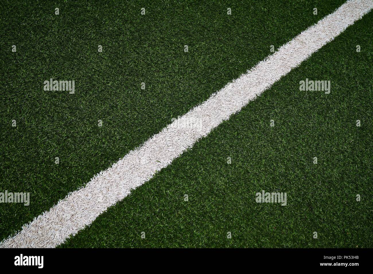 Artificial Green Grass Football / Soccer Field / Pitch & White Stripe