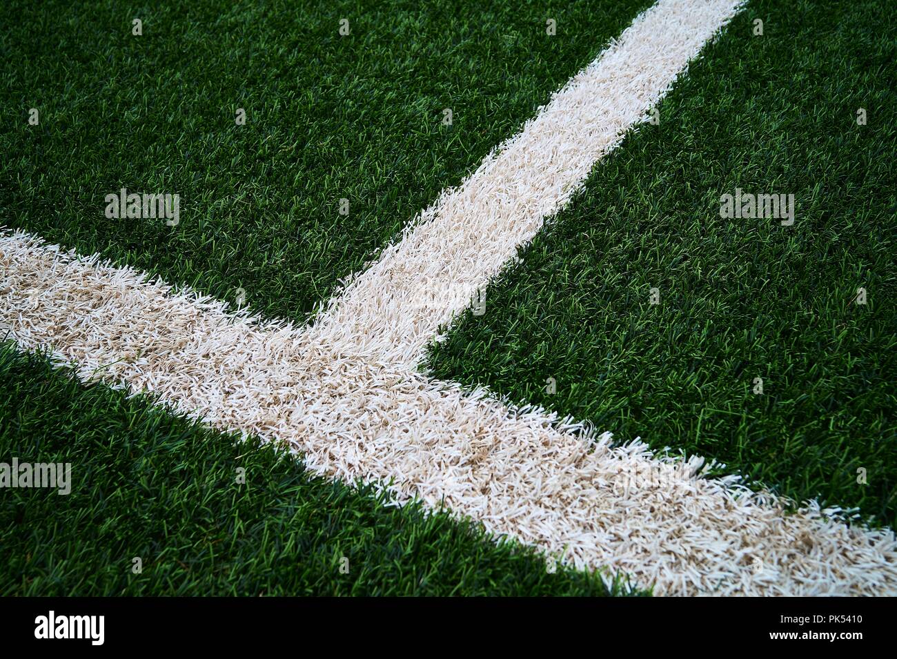 Artificial Green Grass Football / Soccer Field / Pitch & White Stripe