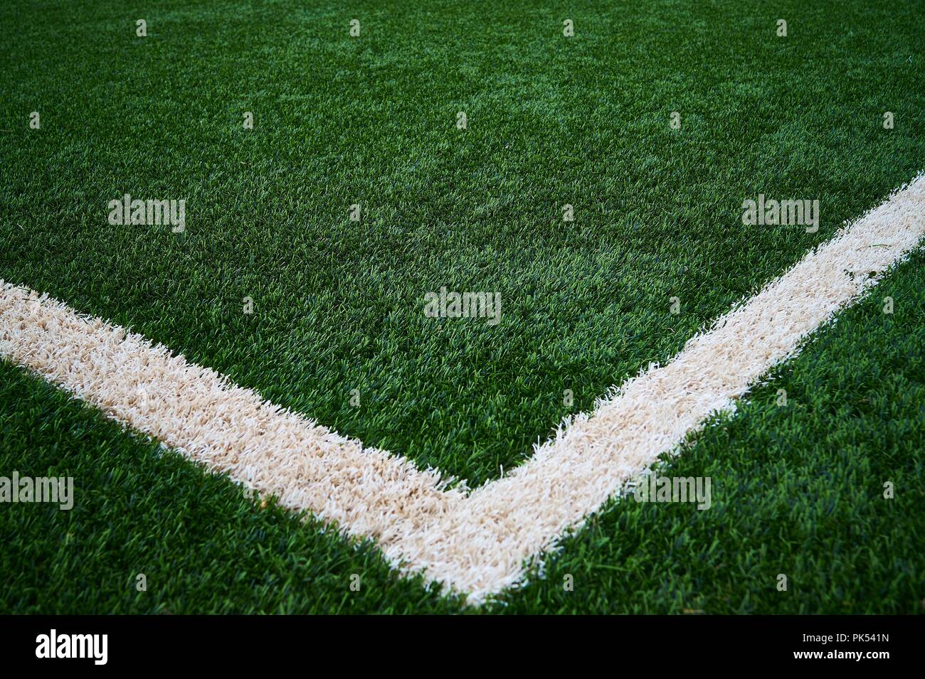 Artificial Green Grass Football / Soccer Field / Pitch & White Stripe