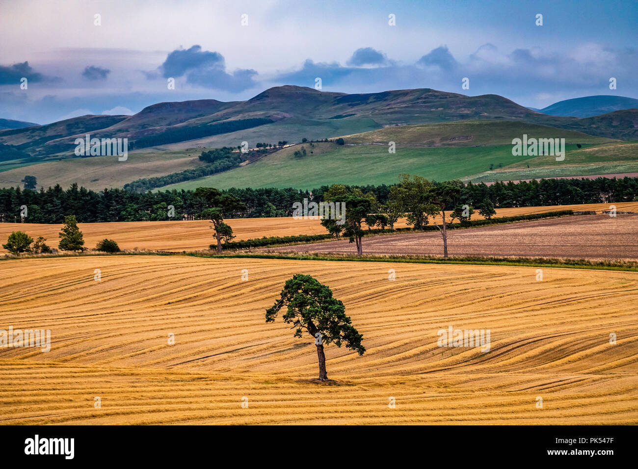 Cessford, Morebattle, Kelso, Scottish Borders, UK. 18th August 2018. Looking south from Cessford Castle towards Grubbit Law and the Cheviot Hills. Stock Photo