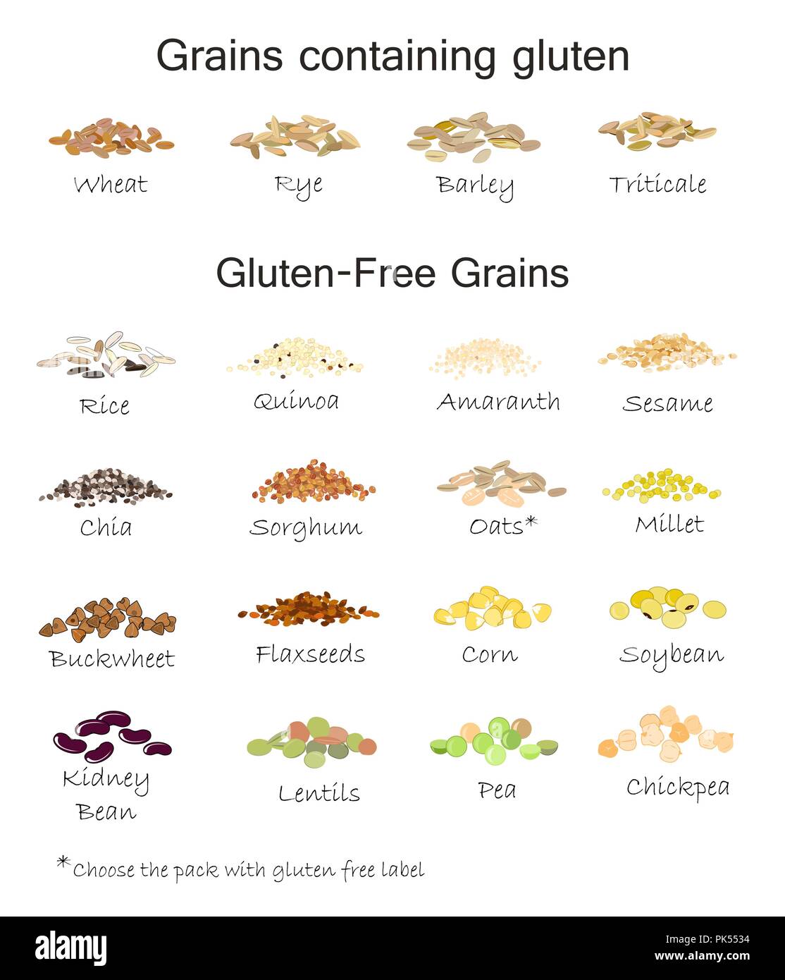 A variety of gluten free and containing gluten grains. Wheat, barley, oats, rye, buckwheat, amaranth, rice, millet, sorghum, quinoa chia seeds oatmeal Stock Vector
