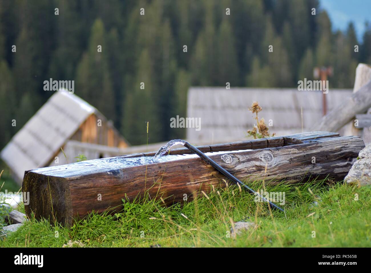 Flowing water in wood log made basin with mountain landscape in background Stock Photo