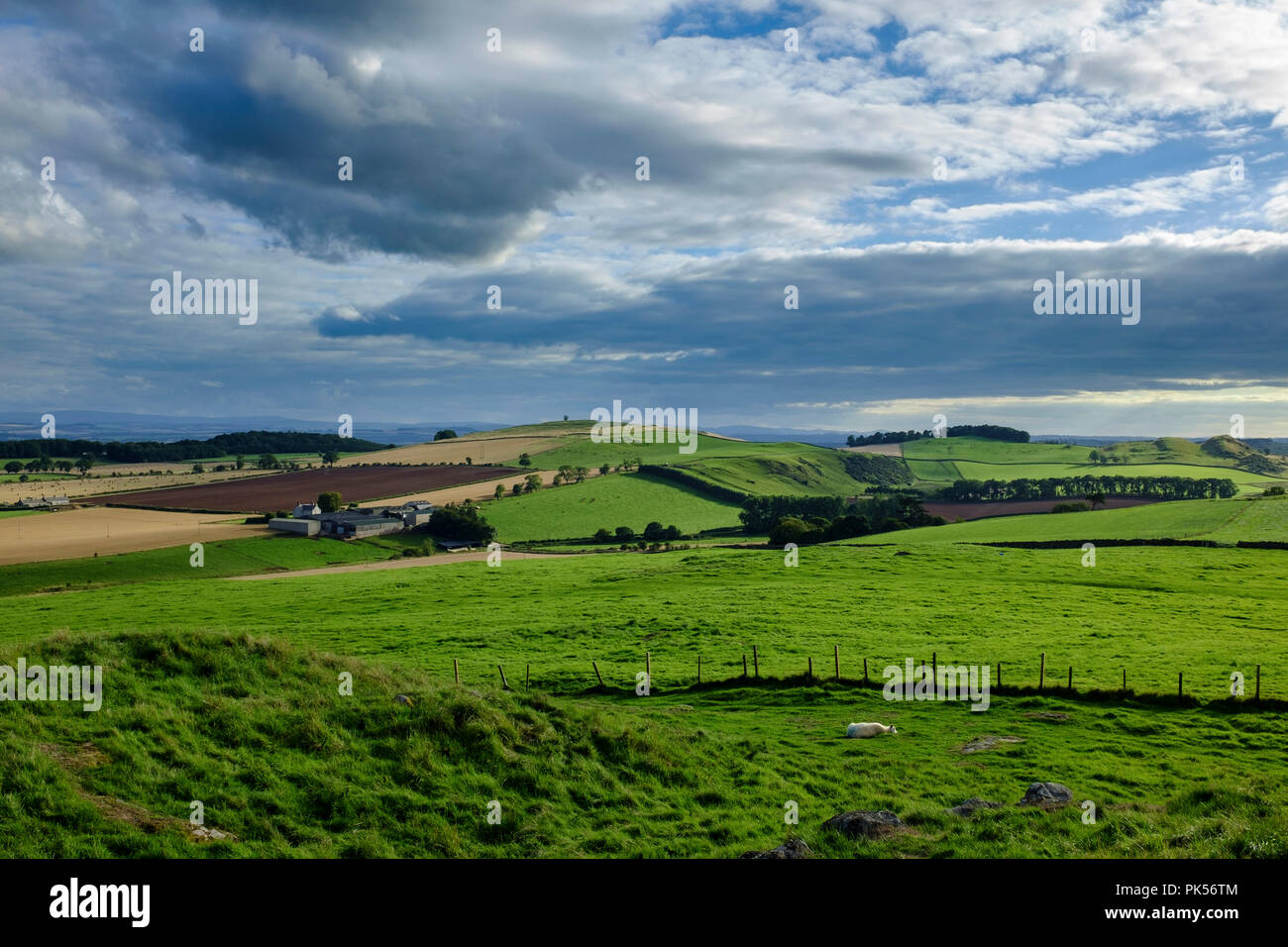 Farming land at Hume, Berwickshire, Scottish Borders UK Stock Photo Alamy