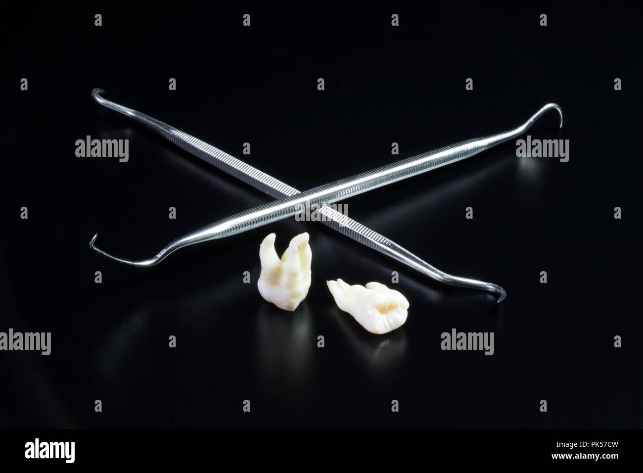 Dental picks and adult teeth. Cleaning teeth and oral hygiene. Plaque