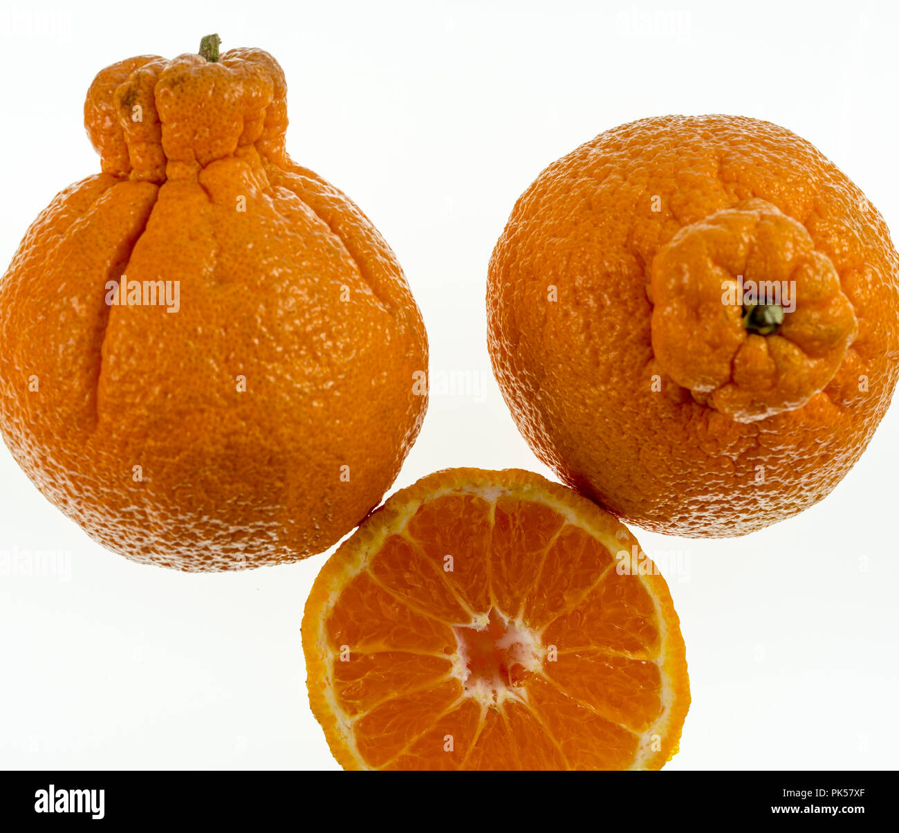 https://c8.alamy.com/comp/PK57XF/sumo-citrus-also-called-dekopon-is-a-seedless-and-sweet-mandarin-variety-distinctive-due-to-its-large-size-and-large-protruding-bump-on-the-top-PK57XF.jpg