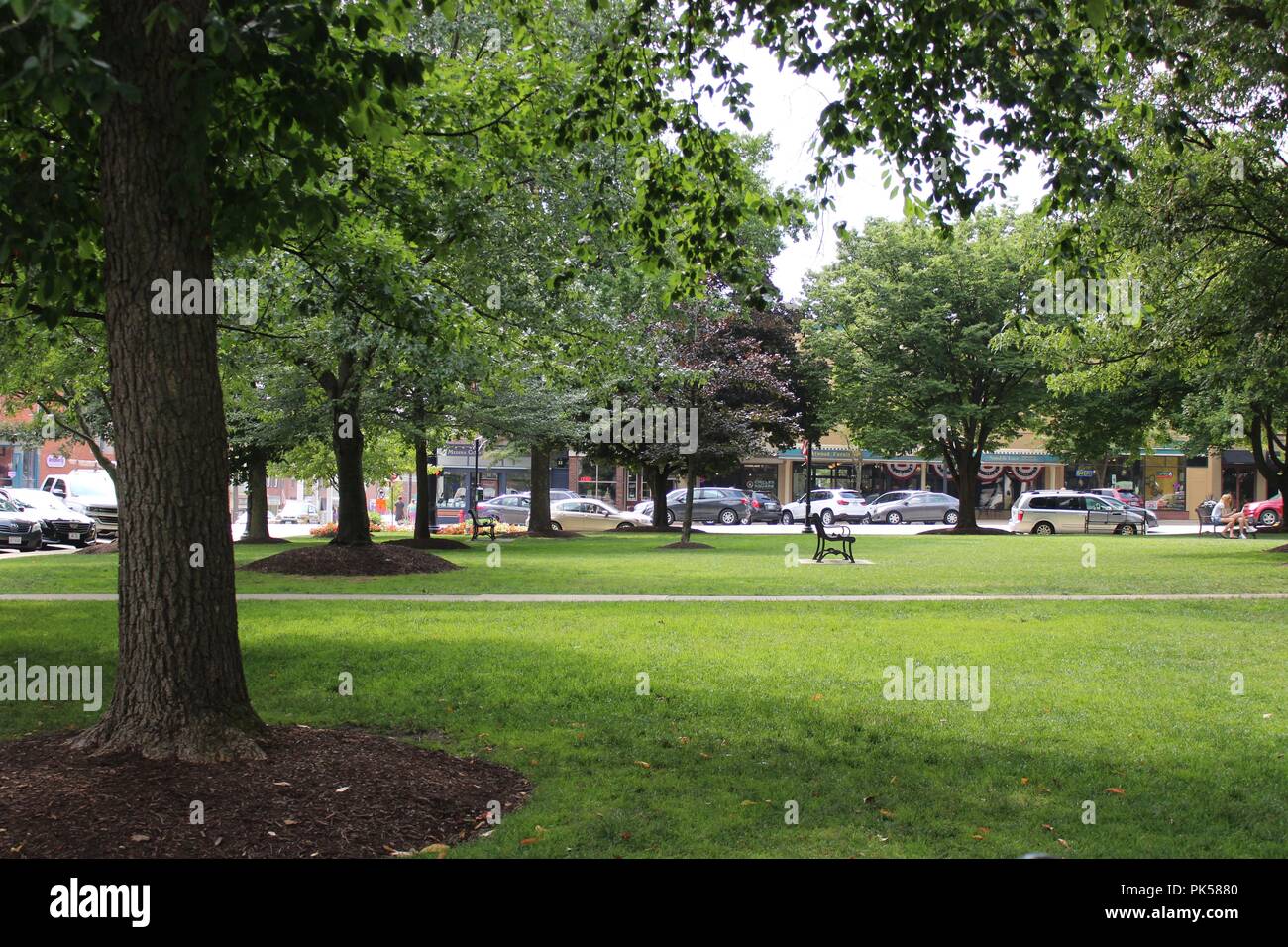 view of small town shops on a strip from a small park with traffic on the street Stock Photo