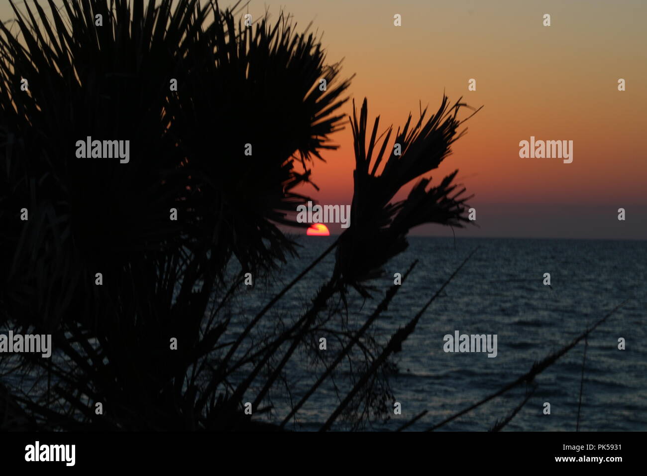 sunset on the ocean with silhoutte of palm trees Stock Photo