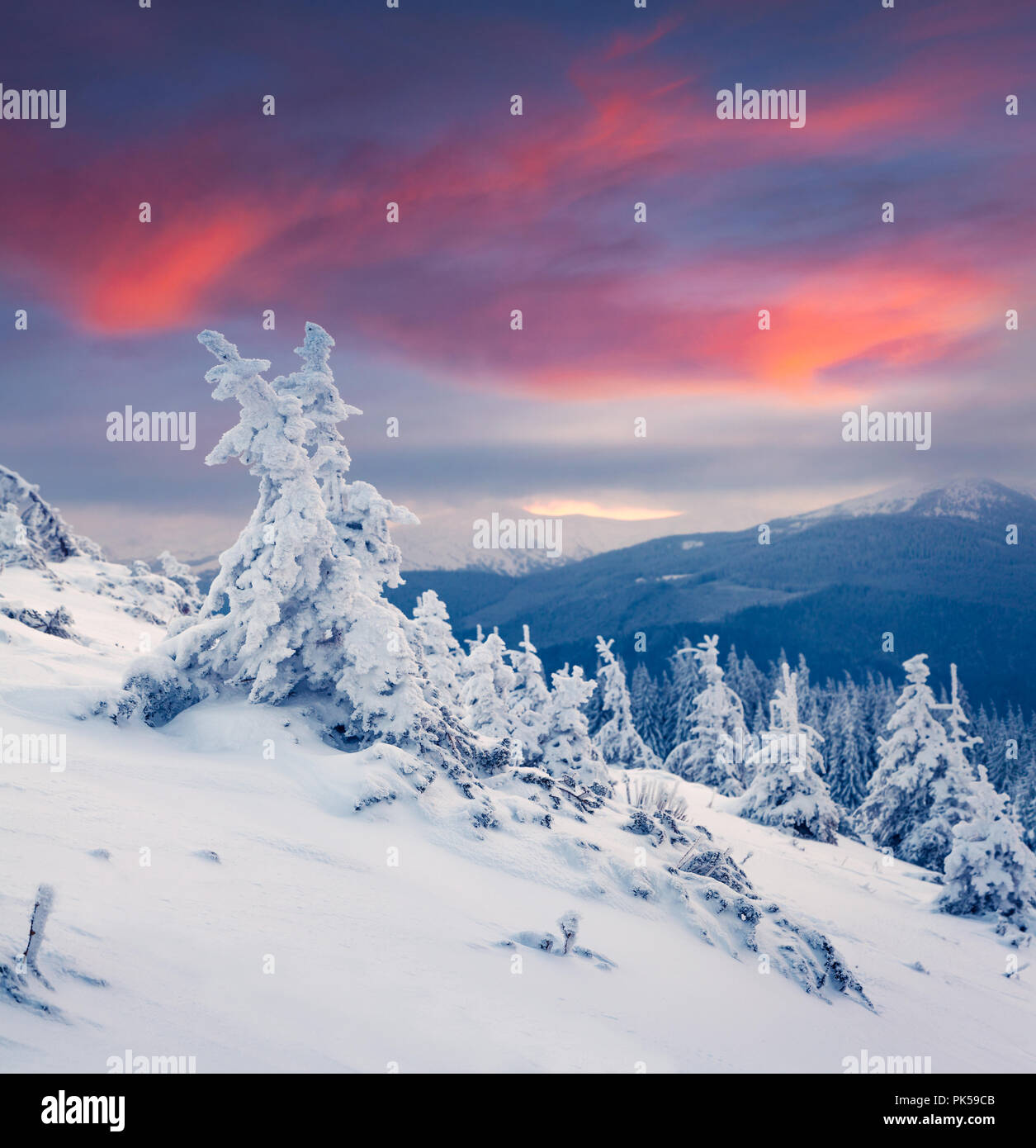 Colorful winter sunrise in the mountains. Happy New Year! Stock Photo