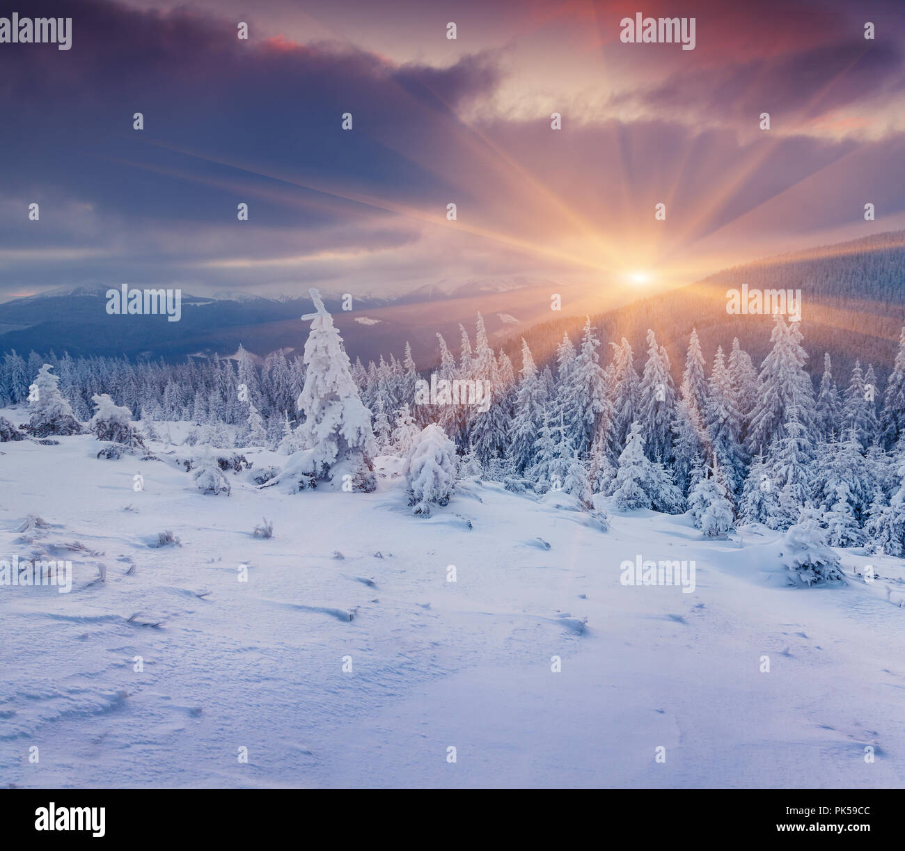 Colorful winter sunrise in the mountains. Happy New Year! Stock Photo