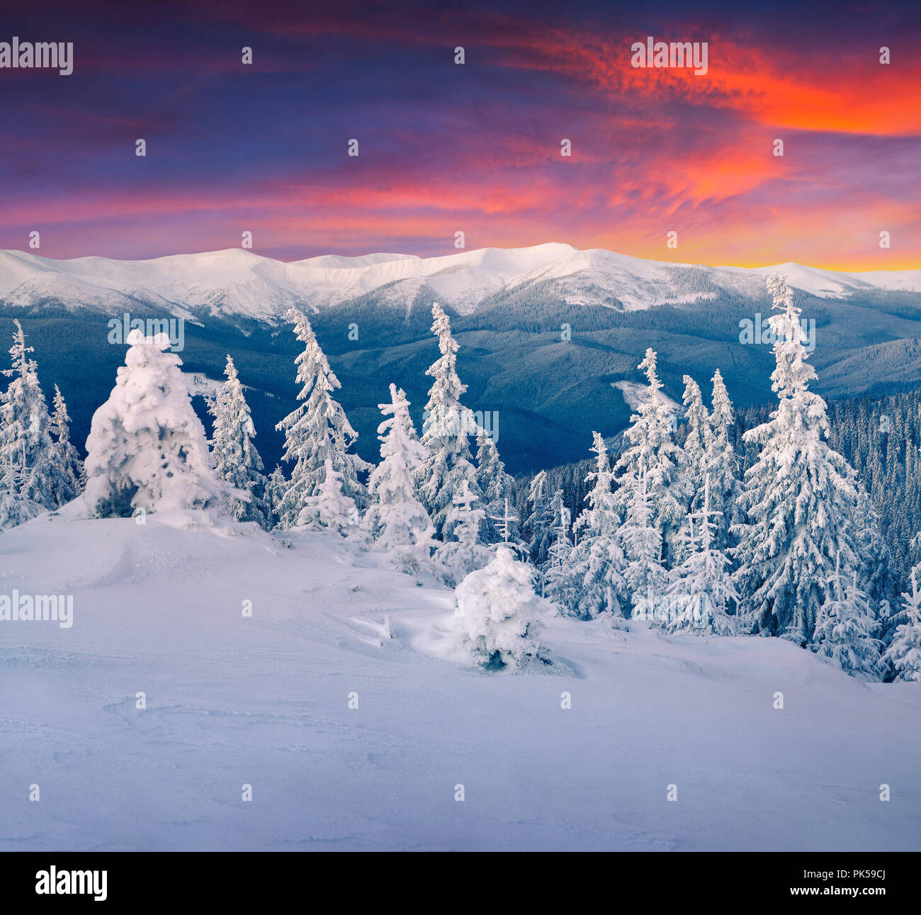 Colorful winter sunrise in the mountains. Happy New Year! Stock Photo