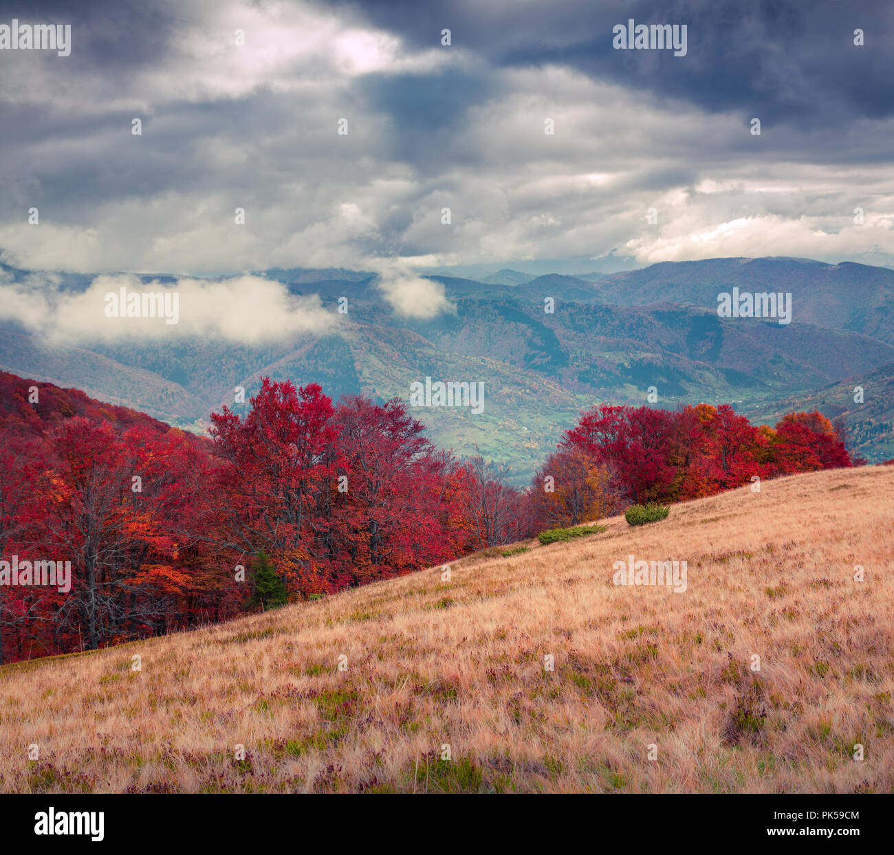 Cloudy autumn morning in the mountains. Mountain valley Brailka, Carpathian, Ukraine, Europe. Stock Photo