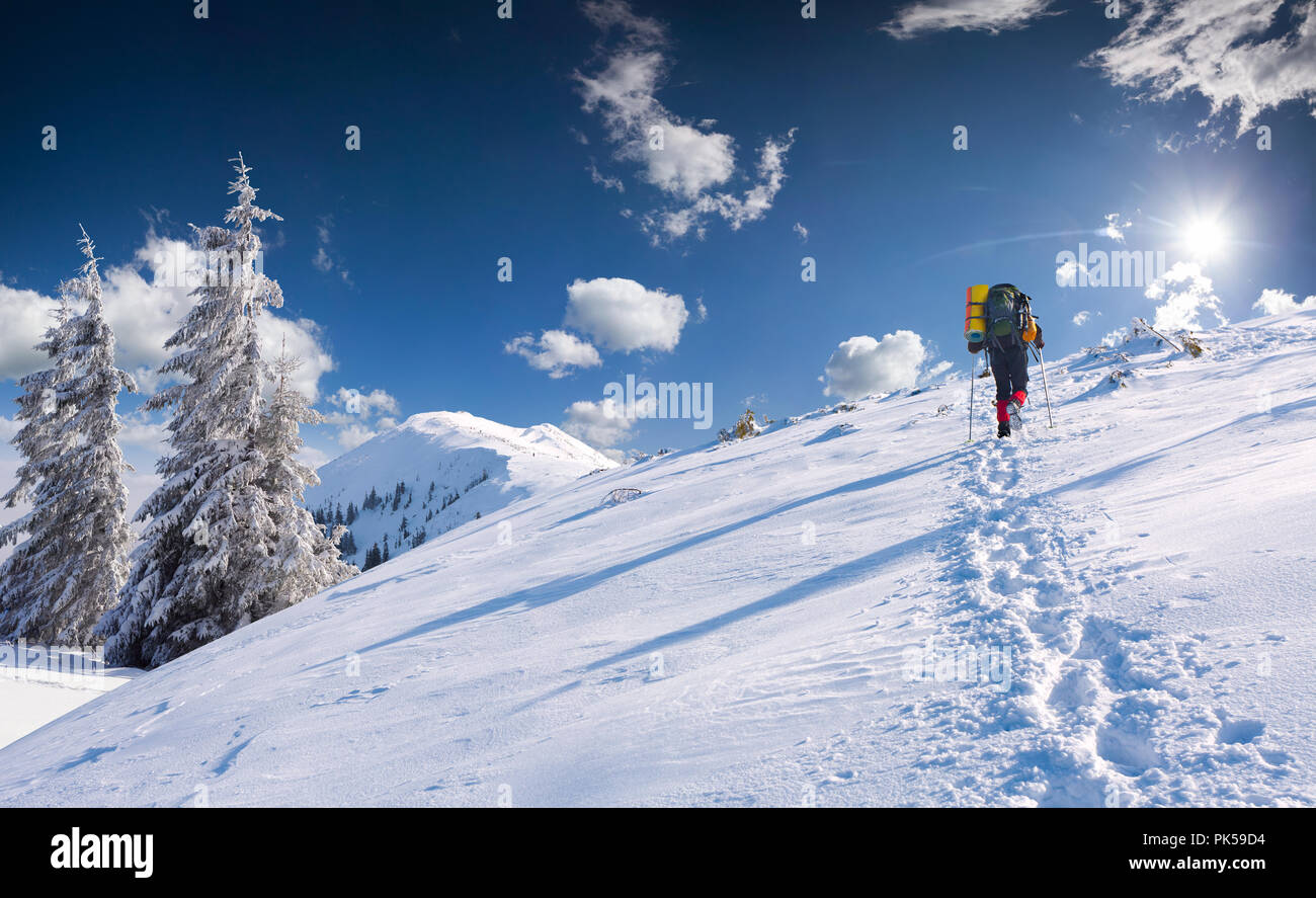 Trip in the sunny winter morning on the top of mountain. Stock Photo