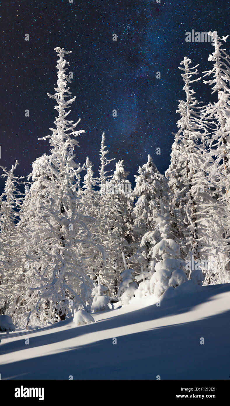 Beautiful night winter landscape in the mountain forest with the stars in the dark sky Stock Photo