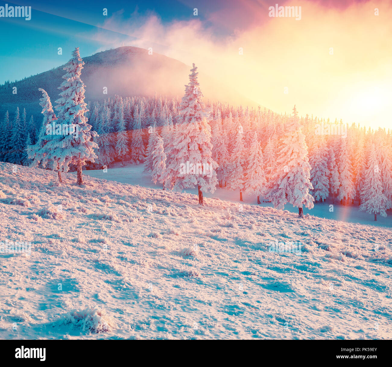 Colorful winter sunrise in the Carpathian mountain forest. Ukraine, Europe. Happy New Year!  Instagram toning. Stock Photo