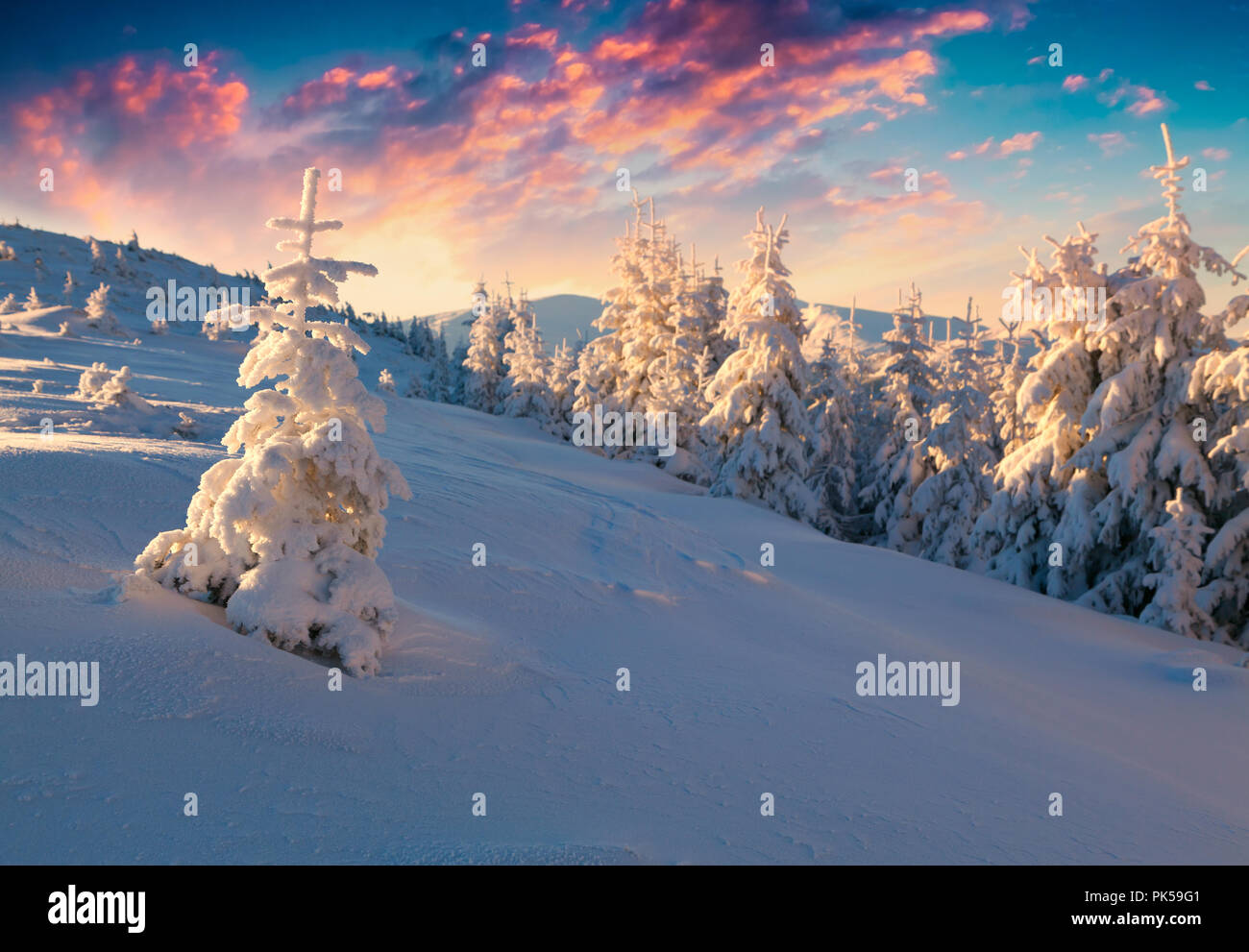 Colorful winter sunrise in the mountains. Happy New Year! Stock Photo