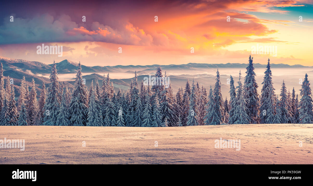 Colorful winter sunrise in the mountains. Happy New Year! Instagram toning. Stock Photo