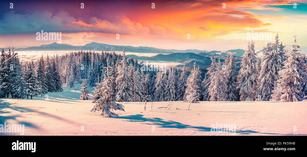 Colorful winter sunrise in the snowy mountains. Fresh snow at frosty morning glowing first sunlight. Stock Photo