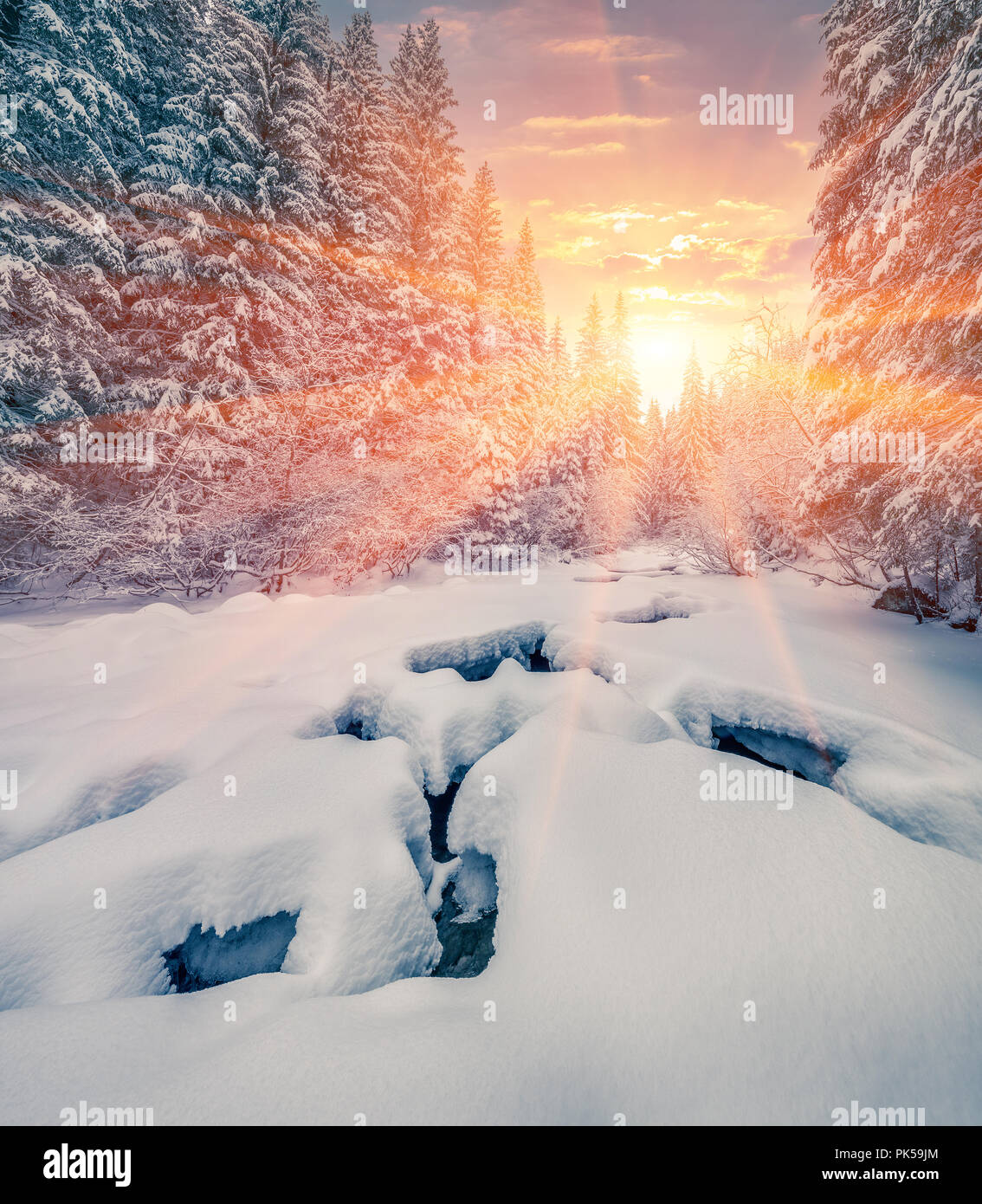 Colorful winter sunrise in the mountain forest with dark water river. Stock Photo