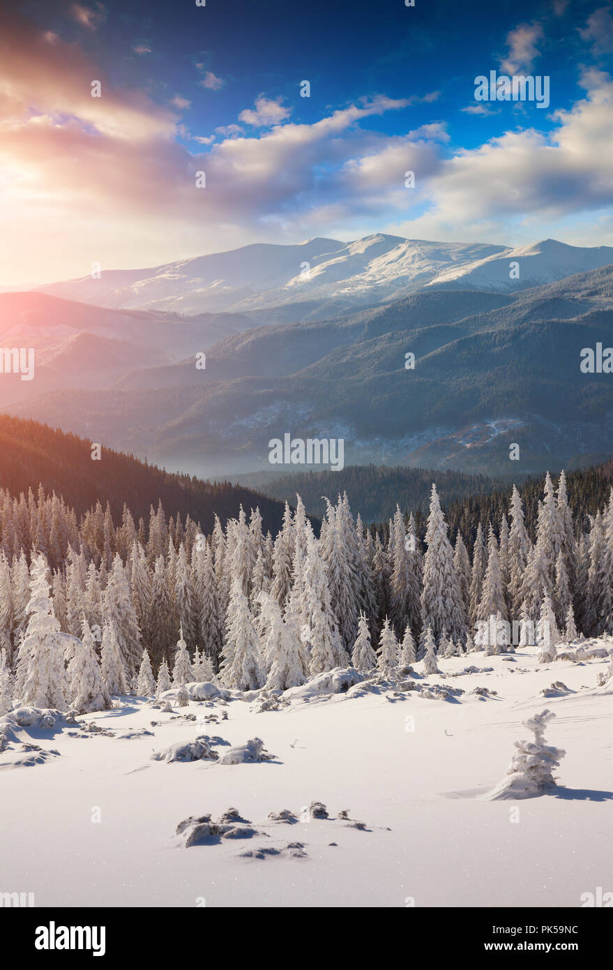 Colorful morning scene in the winter mountain. Stock Photo