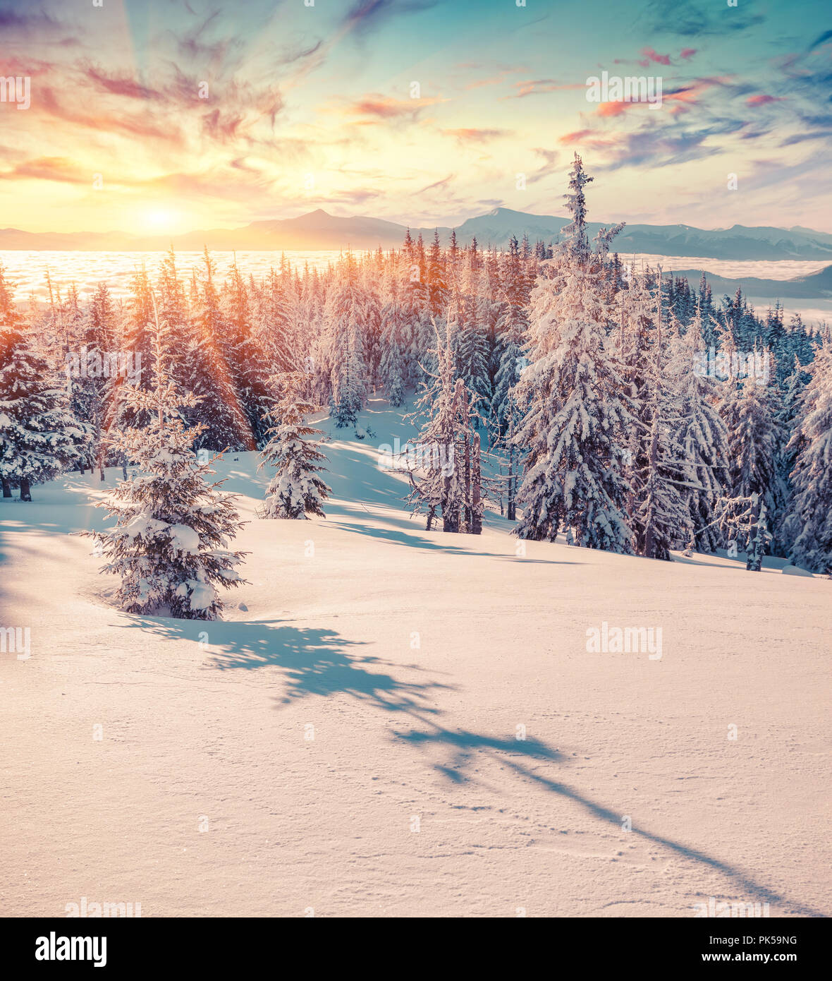 Colorful winter sunrise in the snowy mountains. Fresh snow at frosty morning glowing first sunlight. Instagram toning. Stock Photo