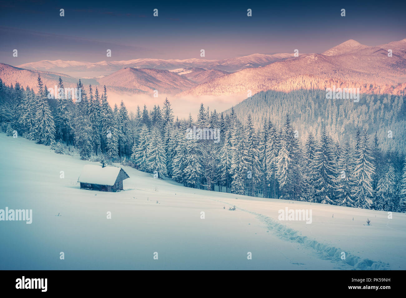 Misty winter morning in the Carpathian mountains. Instagrasm tonuing. Stock Photo