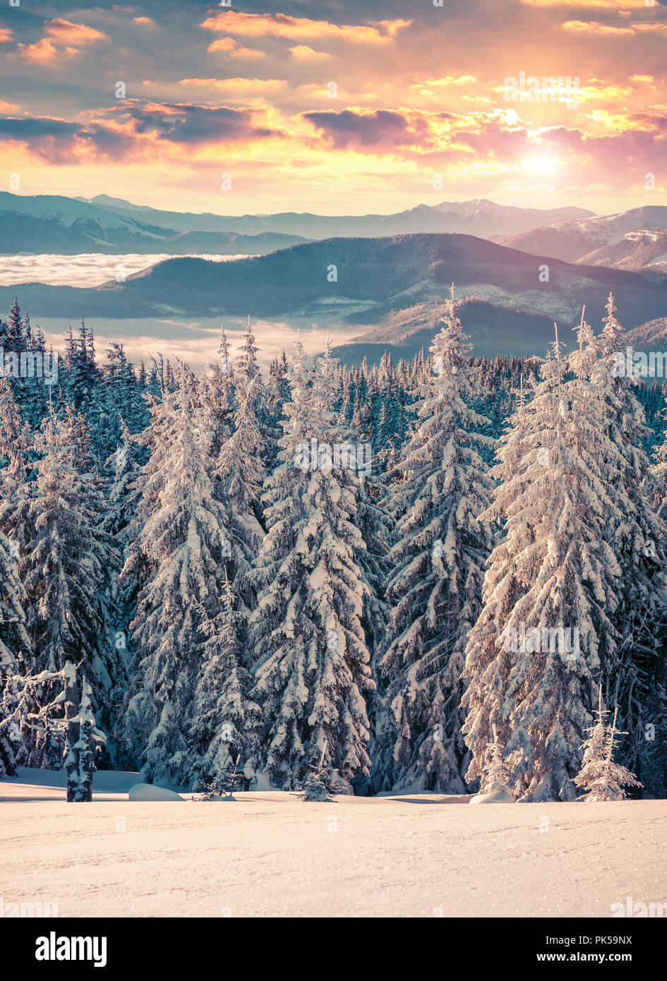 Colorful winter sunset in the Carpathian mountains. Instagram toning. Stock Photo