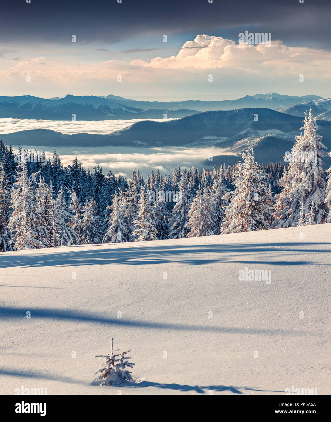 Sunny morning scene in the winter mountain. Instagram toning. Stock Photo