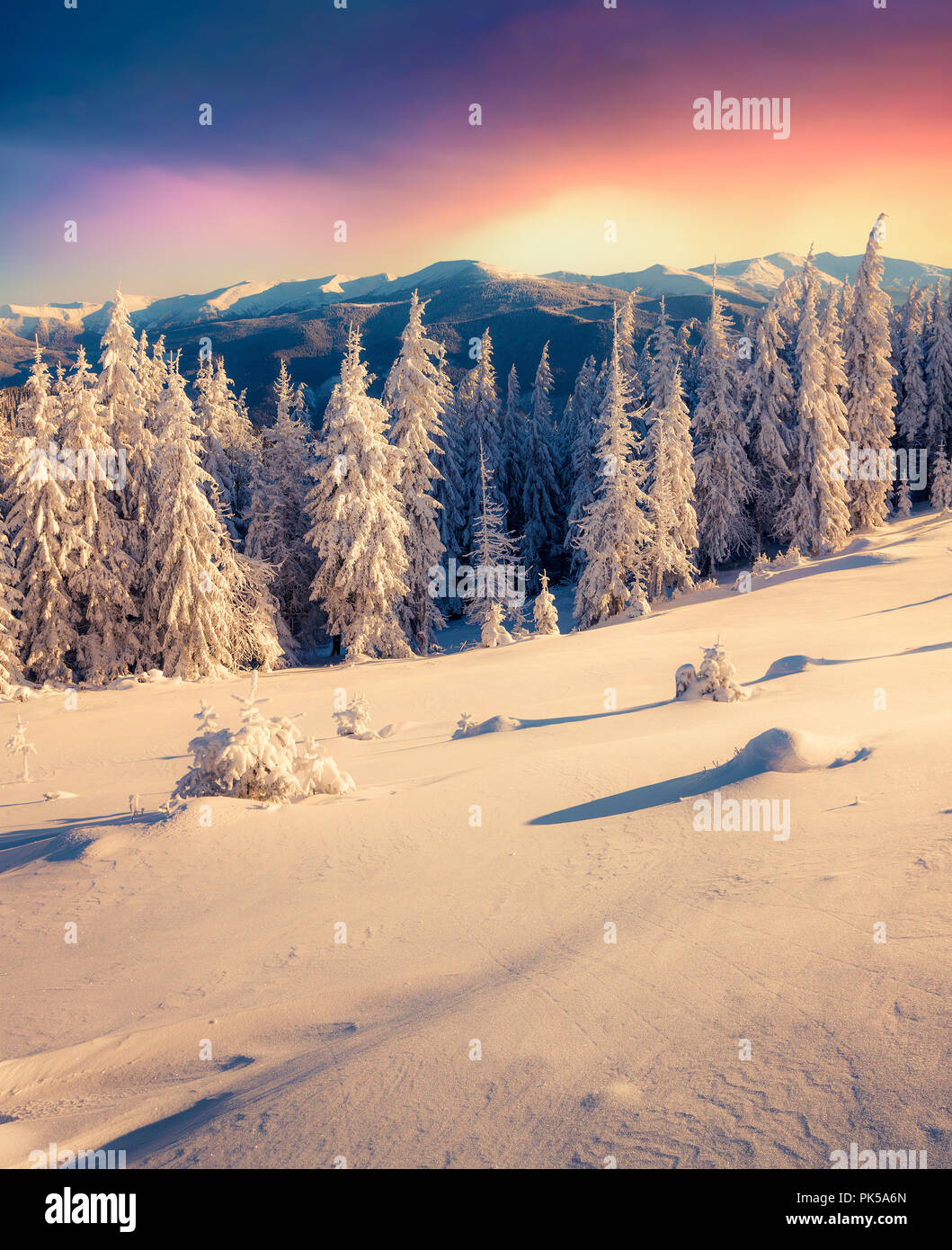 Colorful winter morning in the mountains. Warm filter toning. Stock Photo