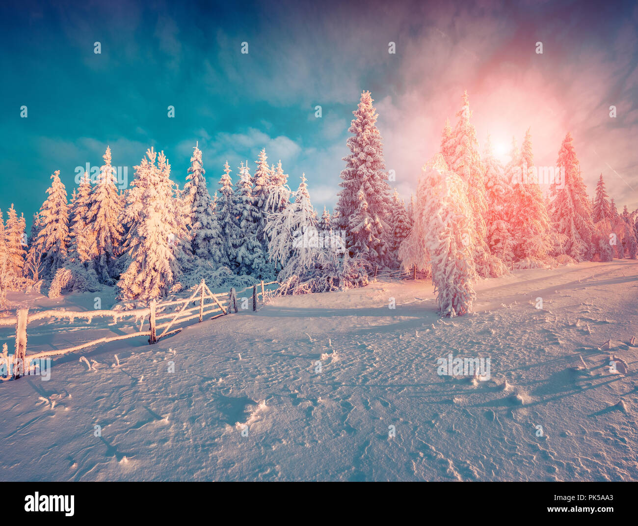 Colorful winter sunrise in the mountain forest. Instagram toning. Stock Photo