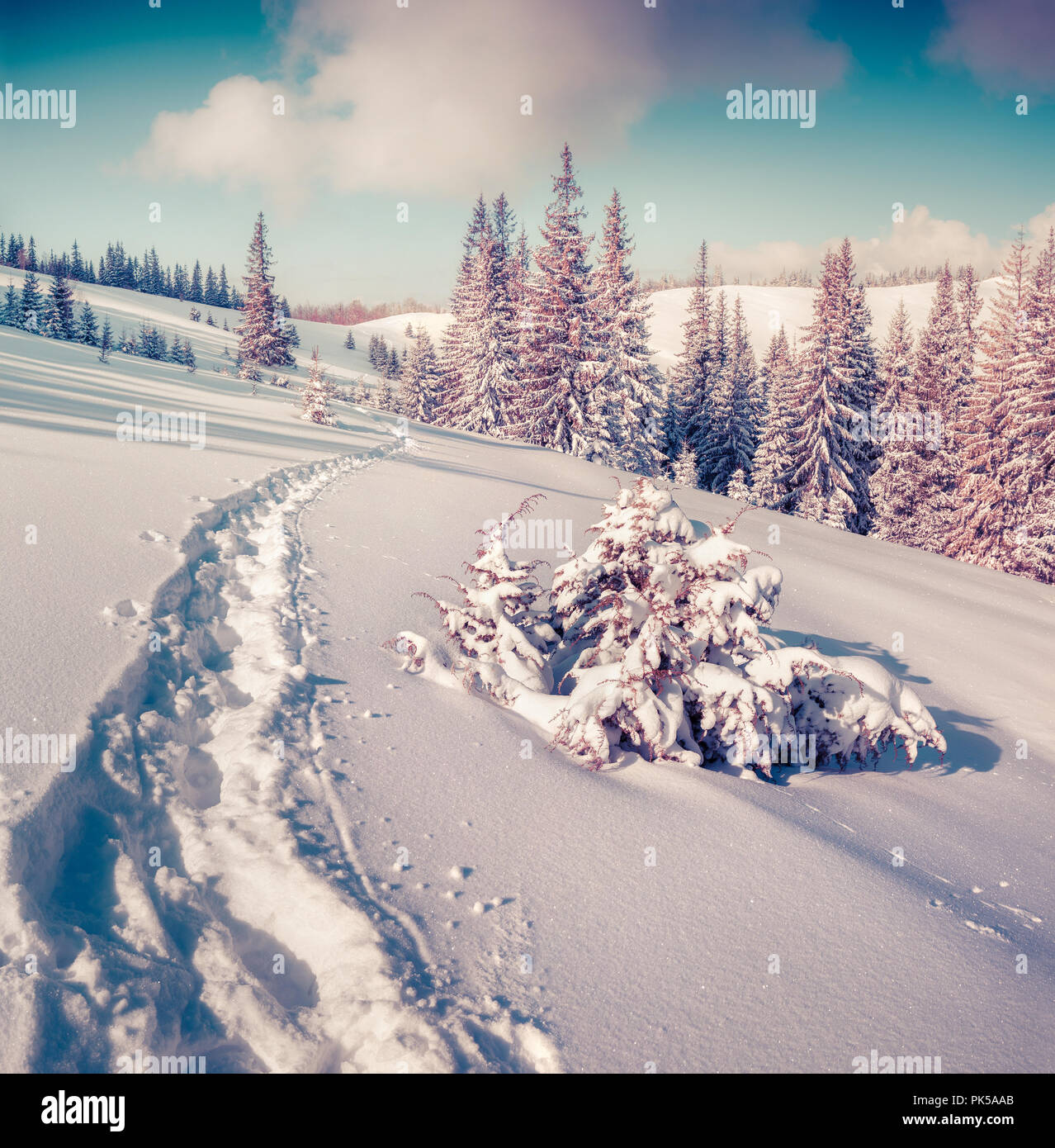 Sunny winter landscape in the mountain forest. Instagram toning. Stock Photo
